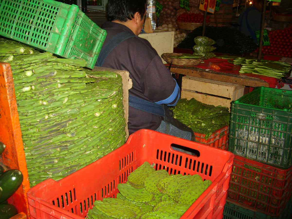 Vendita di Nopales, fonte Wikipedia: Di Pro_bug_catcher - Opera propria, Pubblico dominio, https://commons.wikimedia.org/w/index.php?curid=1016657